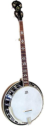 Ashbury AB-45 Banjo 5 cordes Naturel