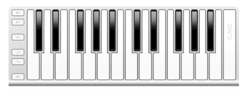 CME Clavier avec 2 Octaves pour iPad/Android/PC 25 touches Argent – Image 2