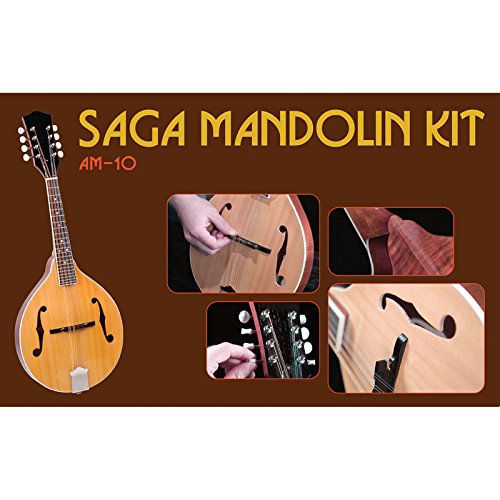Saga AM-10 Mandolin Kit – Image 2