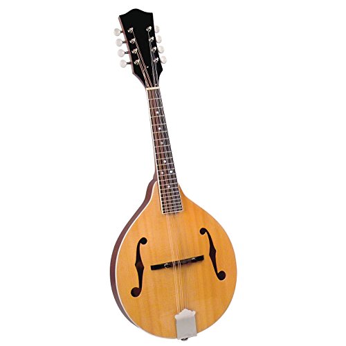 Saga AM-10 Mandolin Kit – Image 3