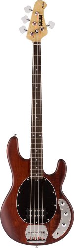Sterling RAY4-WS/R Basse électrique 4 cordes Walnut Satin