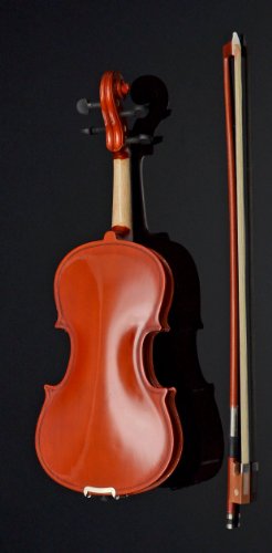 TS-Ideen 4404 Violon 1/2 en érable avec Etui + Colophane + Archet en crin de cheval pour Enfant de 8 à 10 ans Marron – Image 4