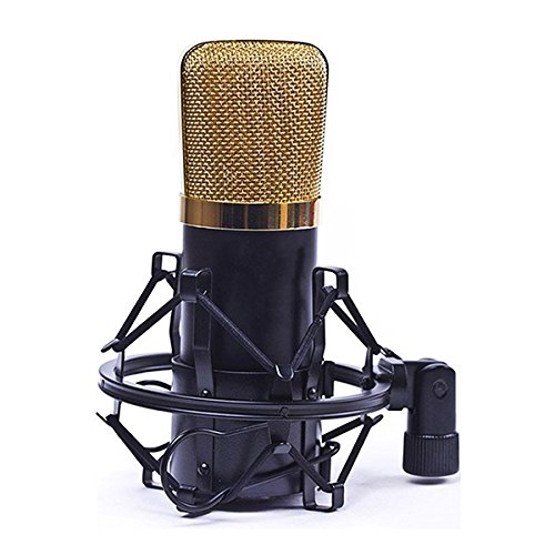 Tinksky Studio Radio Podcast Microphone Mic avec élastique