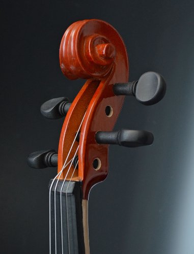TS-Ideen 4404 Violon 1/2 en érable avec Etui + Colophane + Archet en crin de cheval pour Enfant de 8 à 10 ans Marron – Image 5