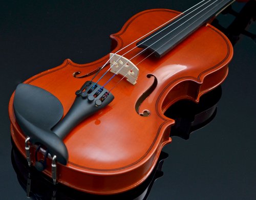 TS-Ideen 4404 Violon 1/2 en érable avec Etui + Colophane + Archet en crin de cheval pour Enfant de 8 à 10 ans Marron – Image 8
