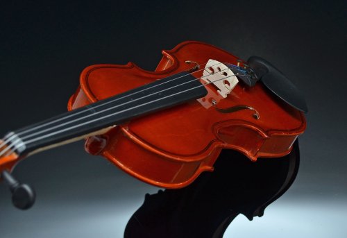 TS-Ideen 4404 Violon 1/2 en érable avec Etui + Colophane + Archet en crin de cheval pour Enfant de 8 à 10 ans Marron – Image 9