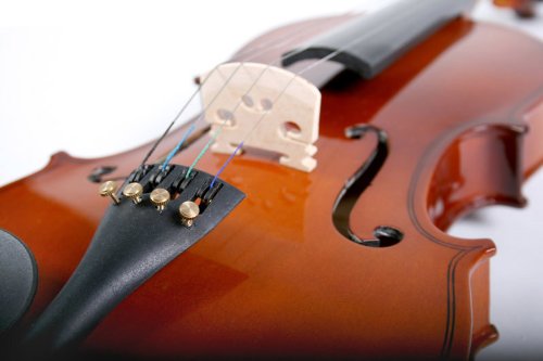 Violon 4/4 – Marron – en bois sculpté – DIVERSES COULEURS AU CHOIX