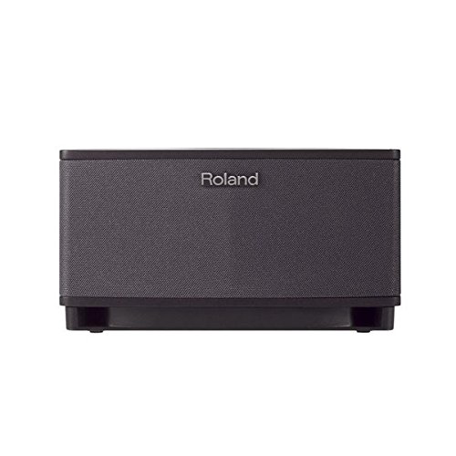 Roland CUBE-LT-BK Cube Lite Amplificateur Combo pour guitare