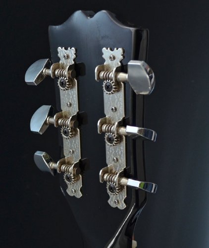 TS-Ideen 4513 Guitare acoustique avec Manche en bois de rose + Cordes de rechange Noir – Image 5